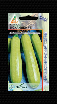 Кабачок Искандер F1