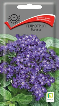 Гелиотроп Марина