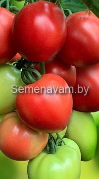 Помидоры Пинк Хайп F1