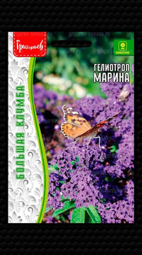 Гелиотроп Марина перуанский