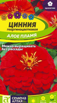 ЦИННИЯ АЛОЕ ПЛАМЯ ГЕОРГИНОЦВЕТКОВАЯ