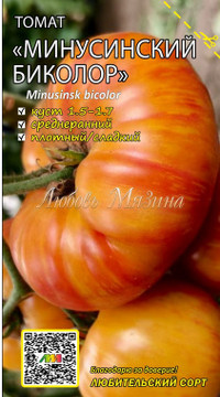 Томат Минусинский Биколор