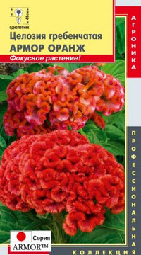 Целозия гребенчатая  АРМОР ОРАНЖ  Серия «ARMOR™» (Япония)