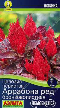 Целозия перистая Аррабона ред бронзоволистная