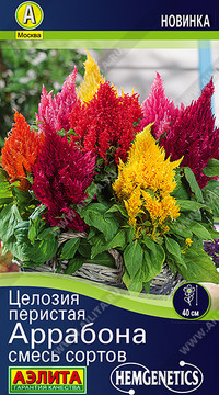 Целозия перистая Аррабона, смесь сортов