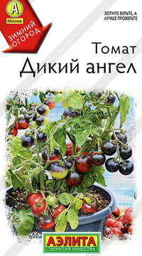 Томат Дикий ангел
