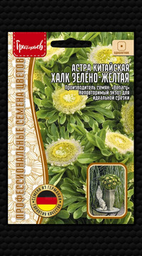 Астра Халк Зелёно-Жёлтая китайская