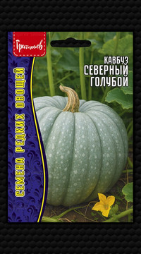 Кавбуз Северный Голубой