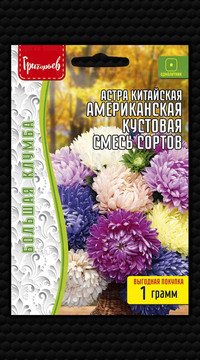 Астра Американская Кустовая Смесь Сортов китайская