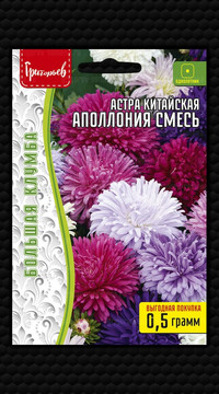 Астра Аполлония Смесь китайская