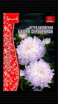 Астра Башня Серебряная китайская
