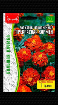 Бархатцы Прекрасная Кармен отклонённые