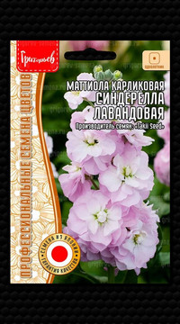 Маттиола Синдерелла Лавандовая карликовая