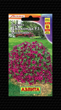 Петуния Джоконда фиолетовая F1