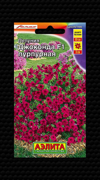 Петуния Джоконда пурпурная F1