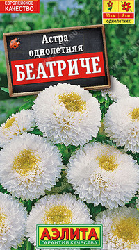 Астра Беатриче