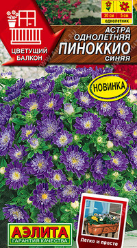 Астра Пиноккио синяя