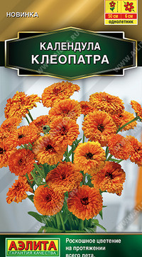 Календула Клеопатра