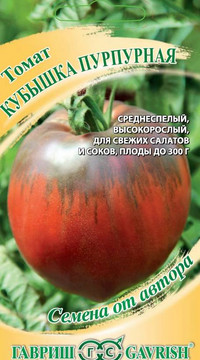 Томат Кубышка пурпурная
