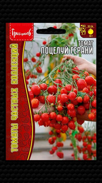 Томат Поцелуй Герани