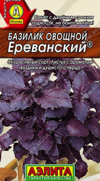 Базилик овощной Ереванский