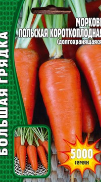 Морковь Польская Короткоплодная
